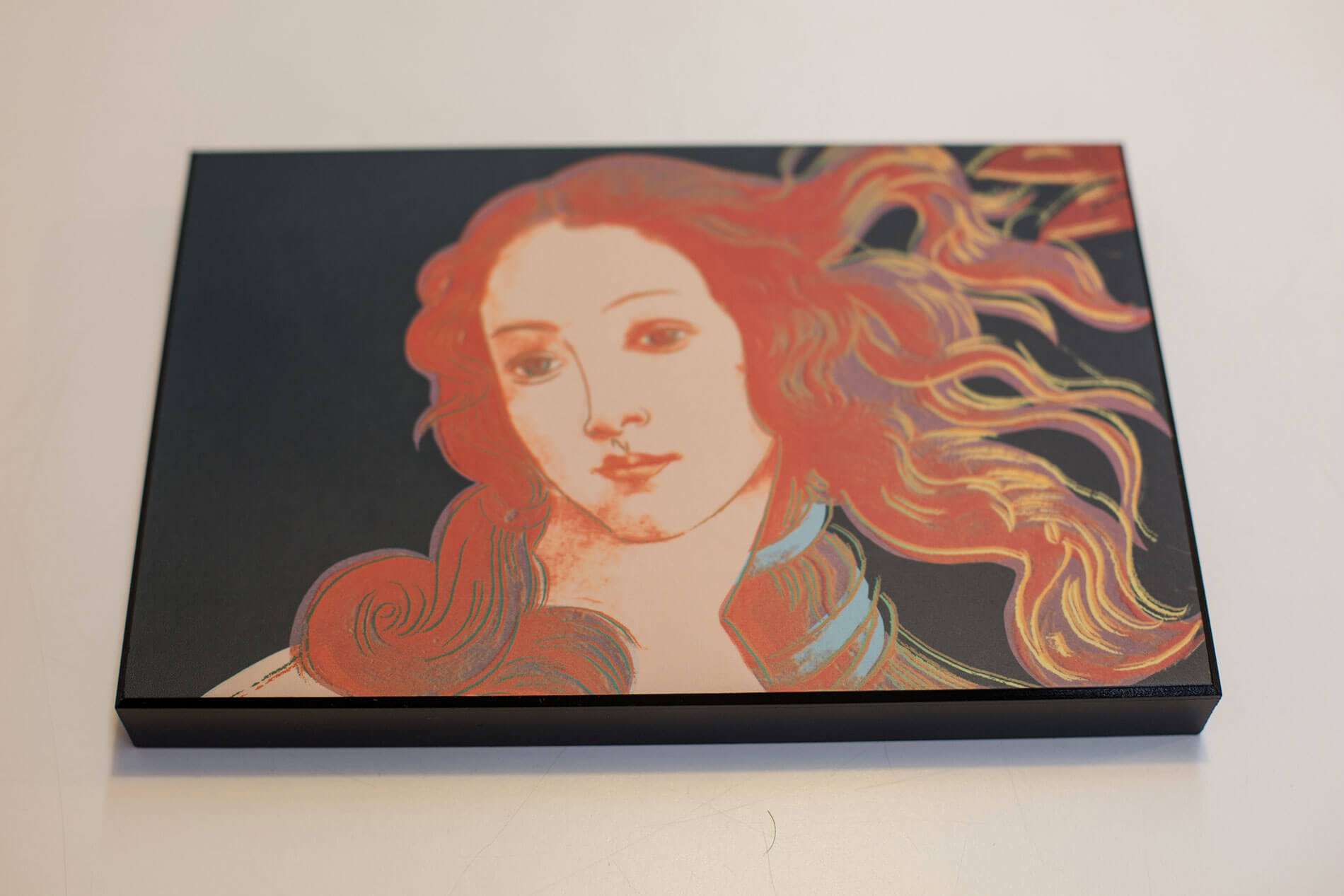 Plaq Mounting for Photos, Posters, Kid's Art, Newspaper Clippings, and